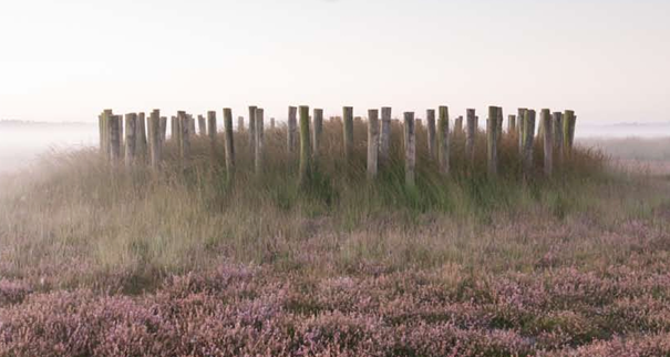 Open dag archeologische opgraving IJsseldijk