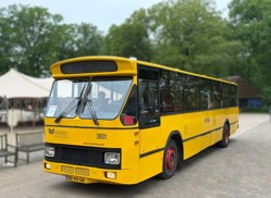 bustour